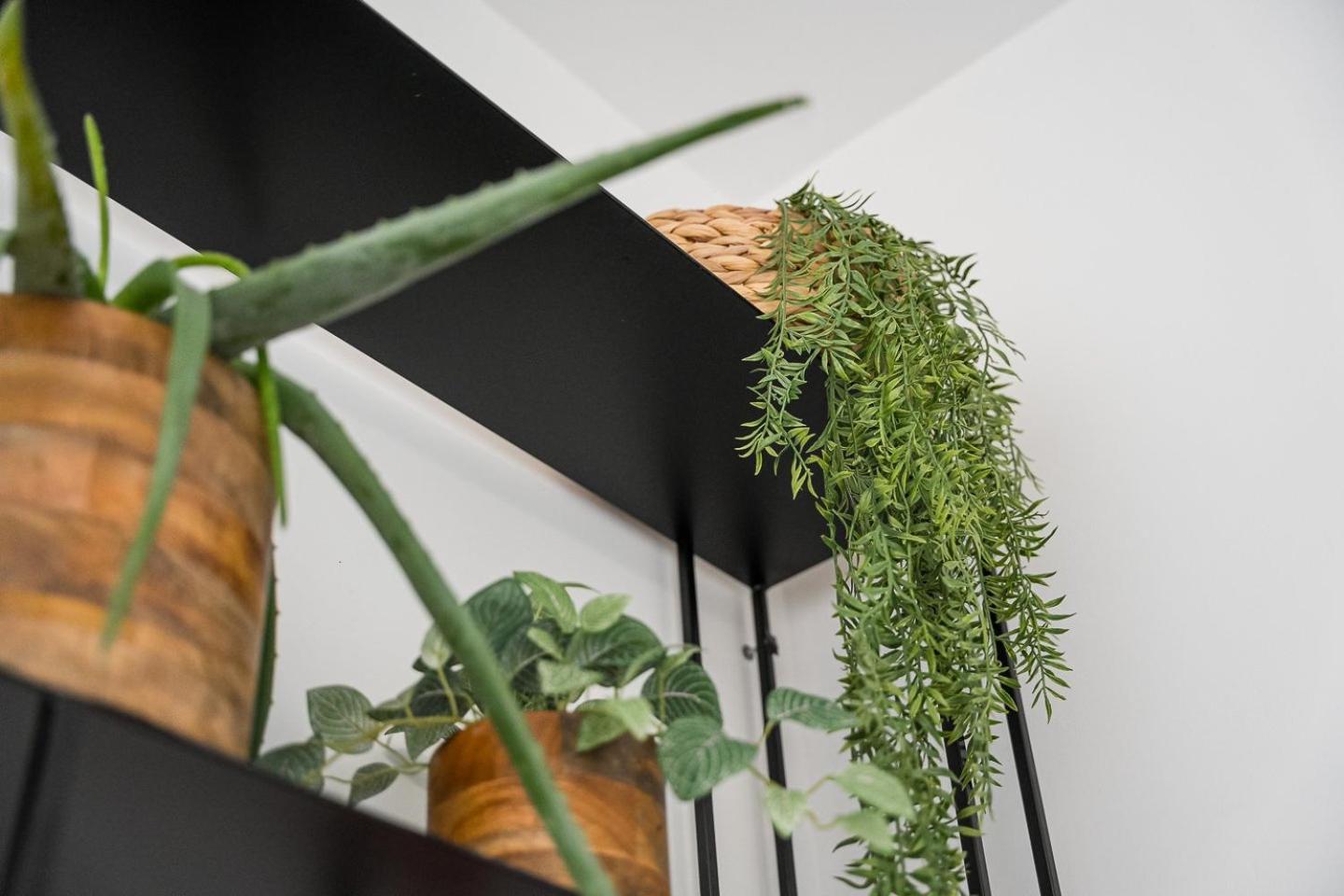 Appartement Guestready - The Perfect Haven Near St. Catarina à OOporto Extérieur photo